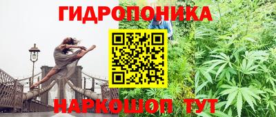 мяу мяу кристалл Ачхой-Мартан