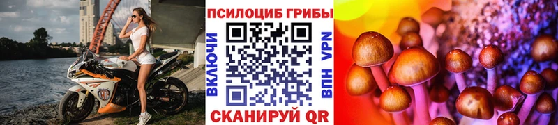 купить закладку Североморск Псилоцибиновые грибы мухоморы