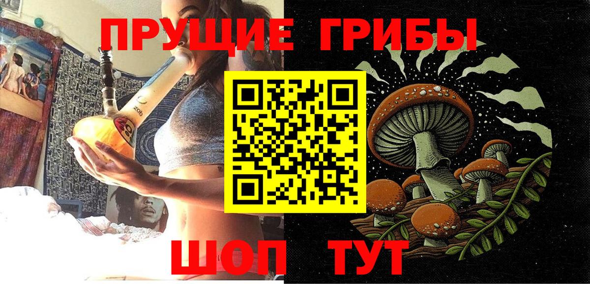 Галлюциногенные грибы Cubensis Североморск